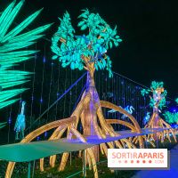 Jungle en voie d'illumination Jardin des Plantes