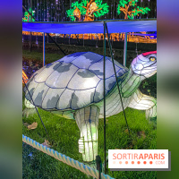 Jungle en voie d'illumination Jardin des Plantes
