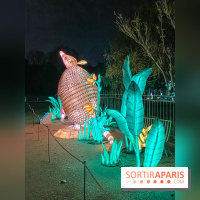 Jungle en voie d'illumination Jardin des Plantes