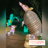 Jungle en voie d'illumination Jardin des Plantes