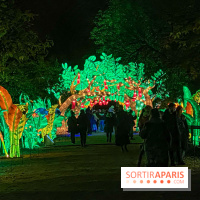 Jungle en voie d'illumination Jardin des Plantes