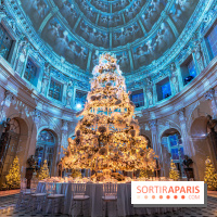 Le Grand Noël au Château de Vaux le Vicomte 2023 - photo -  A7C8278