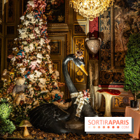 Le Grand Noël au Château de Vaux le Vicomte 2023 - photo -  A7C8262