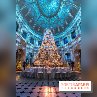 Le Grand Noël au Château de Vaux le Vicomte 2023 - photo -  A7C8284