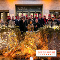 Les illuminations de Noël 2023 de l'Avenue Montaigne - cérémonie et décors féériques