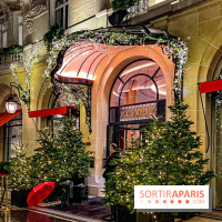 Les illuminations de Noël 2023 de l'Avenue Montaigne - cérémonie et décors féériques