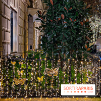 Les illuminations de Noël 2023 de l'Avenue Montaigne - cérémonie et décors féériques - image00072