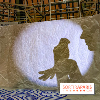 Spectacle d'ombres au Printemps Haussmann - IMG 4366 jpg