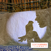 Spectacle d'ombres au Printemps Haussmann - IMG 4367 jpg