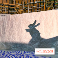 Spectacle d'ombres au Printemps Haussmann - IMG 4417 jpg