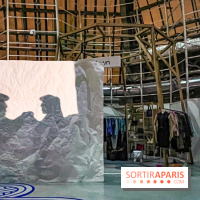 Spectacle d'ombres au Printemps Haussmann - IMG 4439 jpg