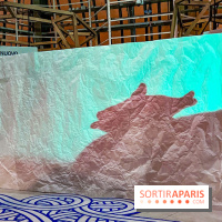 Spectacle d'ombres au Printemps Haussmann - IMG 4453 jpg