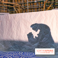 Spectacle d'ombres au Printemps Haussmann - IMG 4465 jpg