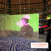 Spectacle d'ombres au Printemps Haussmann - IMG 4493 jpg