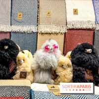 Le Marché de Noël de Boulogne Billancourt (92) - image00039