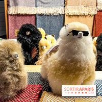 Le Marché de Noël de Boulogne Billancourt (92) - image00040