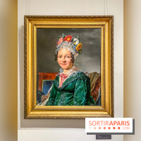 Exposition Alexandre-Jean Dubois-Drahonet au Musée Lambinet de Versailles - IMG 2292