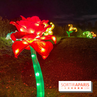 Odyssée Lumineuse, le festival des lumières au Parc Floral