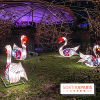 Odyssée Lumineuse, le festival des lumières au Parc Floral - IMG 2367