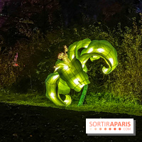 Odyssée Lumineuse, le festival des lumières au Parc Floral - IMG 2370