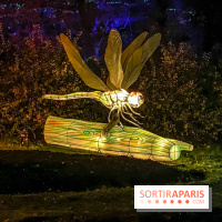 Odyssée Lumineuse, le festival des lumières au Parc Floral - IMG 2371