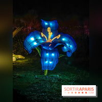 Odyssée Lumineuse, le festival des lumières au Parc Floral - IMG 2372