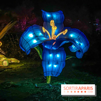Odyssée Lumineuse, le festival des lumières au Parc Floral - IMG 2373