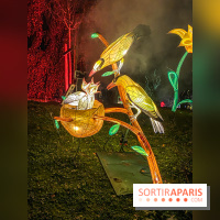 Odyssée Lumineuse, le festival des lumières au Parc Floral - IMG 2374