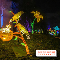 Odyssée Lumineuse, le festival des lumières au Parc Floral