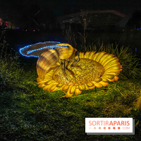 Odyssée Lumineuse, le festival des lumières au Parc Floral - IMG 2377
