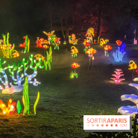 Odyssée Lumineuse, le festival des lumières au Parc Floral - IMG 2380