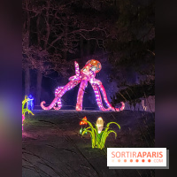 Odyssée Lumineuse, le festival des lumières au Parc Floral - IMG 2382