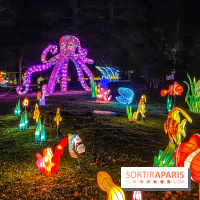 Odyssée Lumineuse, le festival des lumières au Parc Floral - IMG 2389