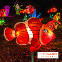 Odyssée Lumineuse, le festival des lumières au Parc Floral - IMG 2390