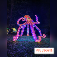 Odyssée Lumineuse, le festival des lumières au Parc Floral