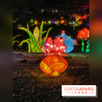 Odyssée Lumineuse, le festival des lumières au Parc Floral - IMG 2395