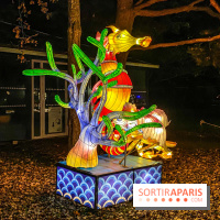 Odyssée Lumineuse, le festival des lumières au Parc Floral - IMG 2401