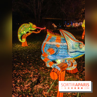 Odyssée Lumineuse, le festival des lumières au Parc Floral - IMG 2404