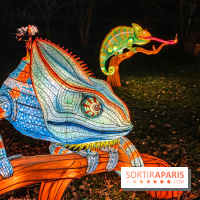 Odyssée Lumineuse, le festival des lumières au Parc Floral