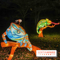 Odyssée Lumineuse, le festival des lumières au Parc Floral