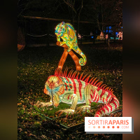 Odyssée Lumineuse, le festival des lumières au Parc Floral