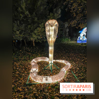 Odyssée Lumineuse, le festival des lumières au Parc Floral