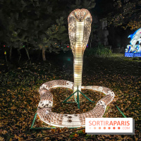 Odyssée Lumineuse, le festival des lumières au Parc Floral - IMG 2410