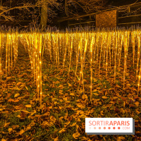 Odyssée Lumineuse, le festival des lumières au Parc Floral - IMG 2411