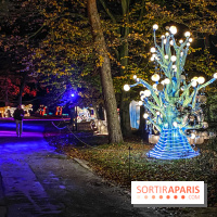 Odyssée Lumineuse, le festival des lumières au Parc Floral - IMG 2413