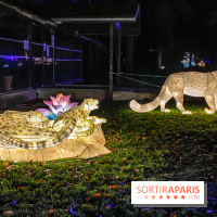 Odyssée Lumineuse, le festival des lumières au Parc Floral