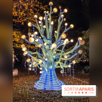 Odyssée Lumineuse, le festival des lumières au Parc Floral - IMG 2415