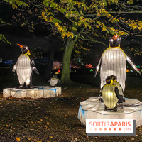 Odyssée Lumineuse, le festival des lumières au Parc Floral - IMG 2417