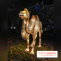 Odyssée Lumineuse, le festival des lumières au Parc Floral