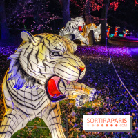 Odyssée Lumineuse, le festival des lumières au Parc Floral